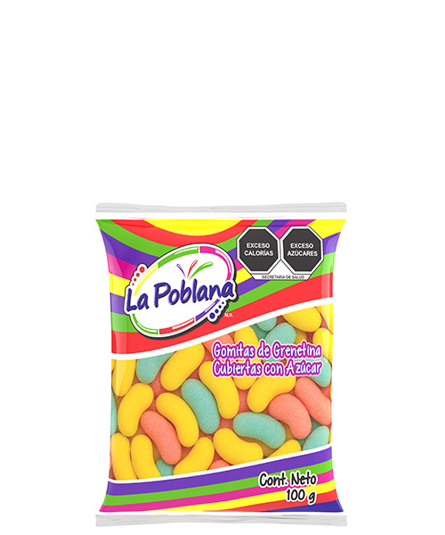 GOMA CHICLE SURTIDO 100 GRS