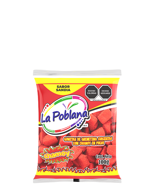 GOMA SANDIA CHAMOY 100G